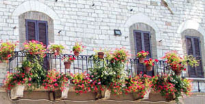 Balcony in Assisi